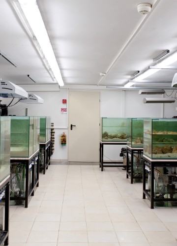 Bar Ilan University – the Laboratory for Molecular Marine Ecology – Coral Facility